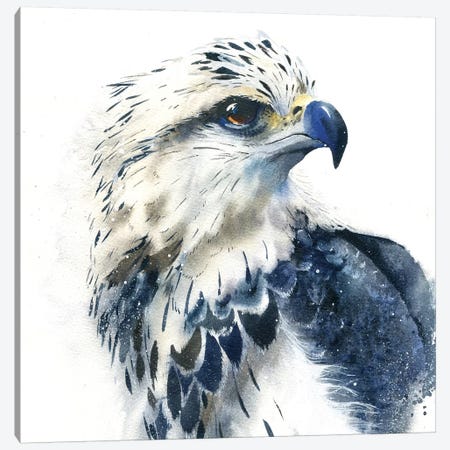 Hawk Canvas Print #IGN19} by Marina Ignatova Canvas Art
