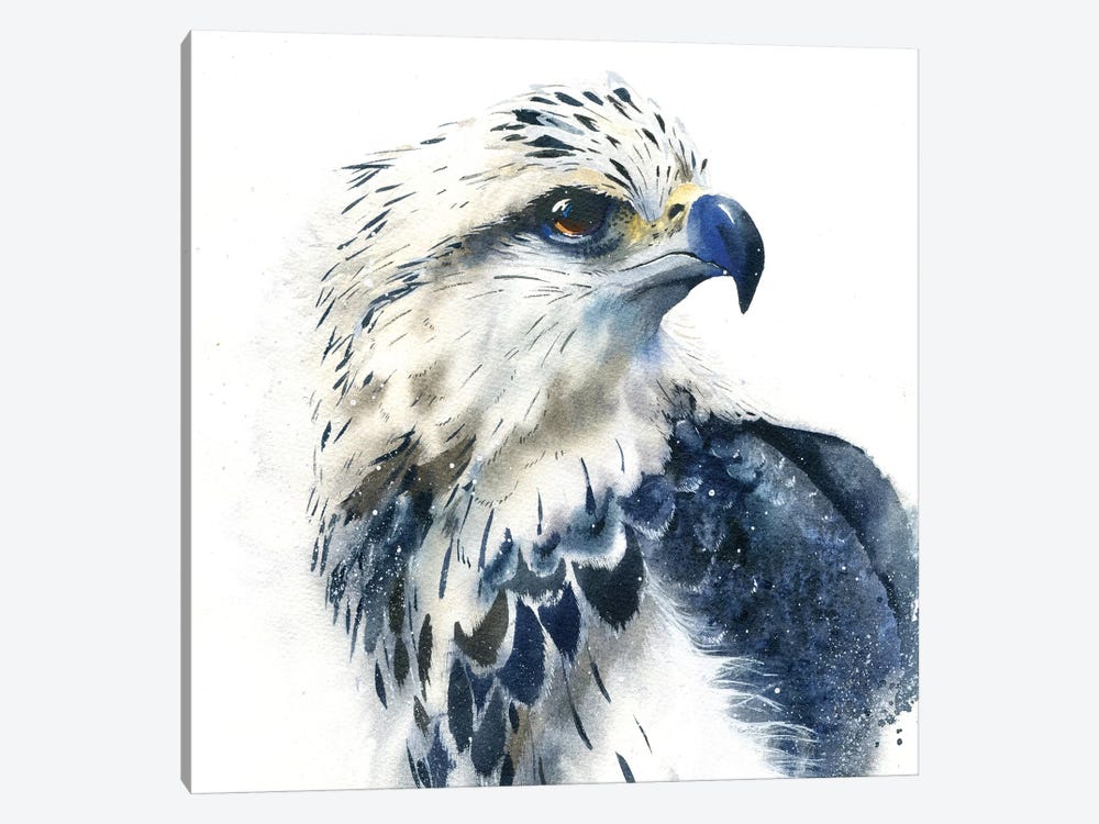 Hawk by Marina Ignatova 1-piece Canvas Artwork