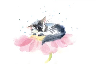 Kitten On A Flower IV by Marina Ignatova metal wall art