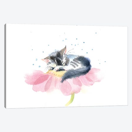 Kitten On A Flower IV Canvas Print #IGN20} by Marina Ignatova Canvas Print