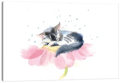 Kitten On A Flower IV Canvas Art Print - Pink Art