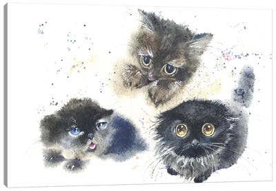 Kittens Canvas Art Print - Kitten Art