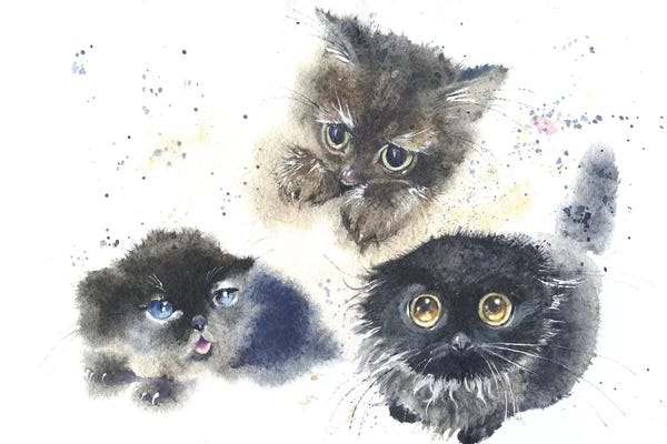 Marina Ignatova: Kittens by Marina Ignatova
