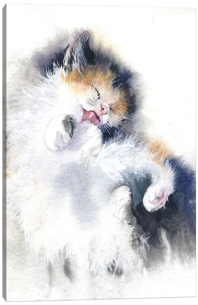 Kitty Bath Canvas Art Print - Calico Cat Art