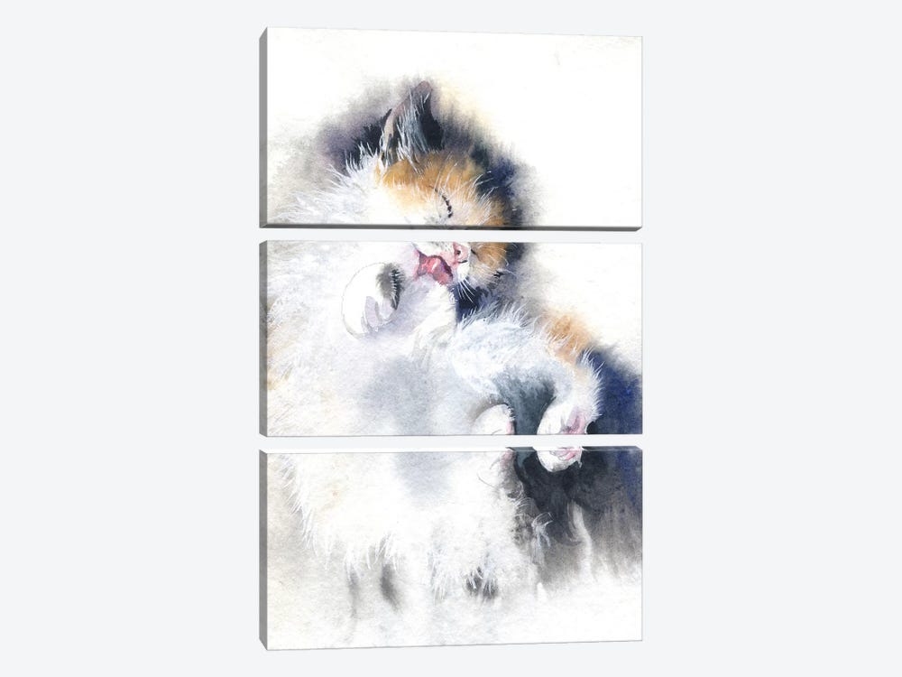 Kitty Bath by Marina Ignatova 3-piece Canvas Art
