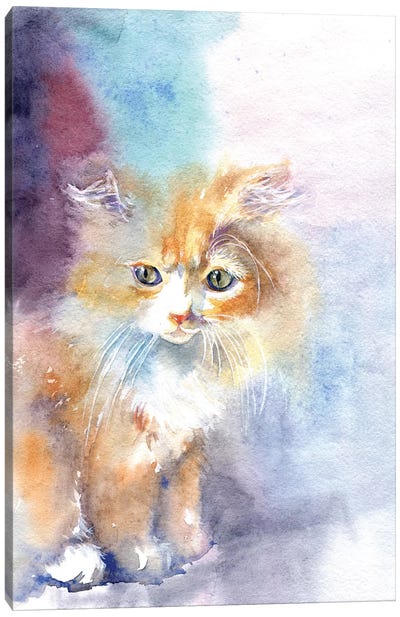 Kitty In The Light Canvas Art Print - Kitten Art