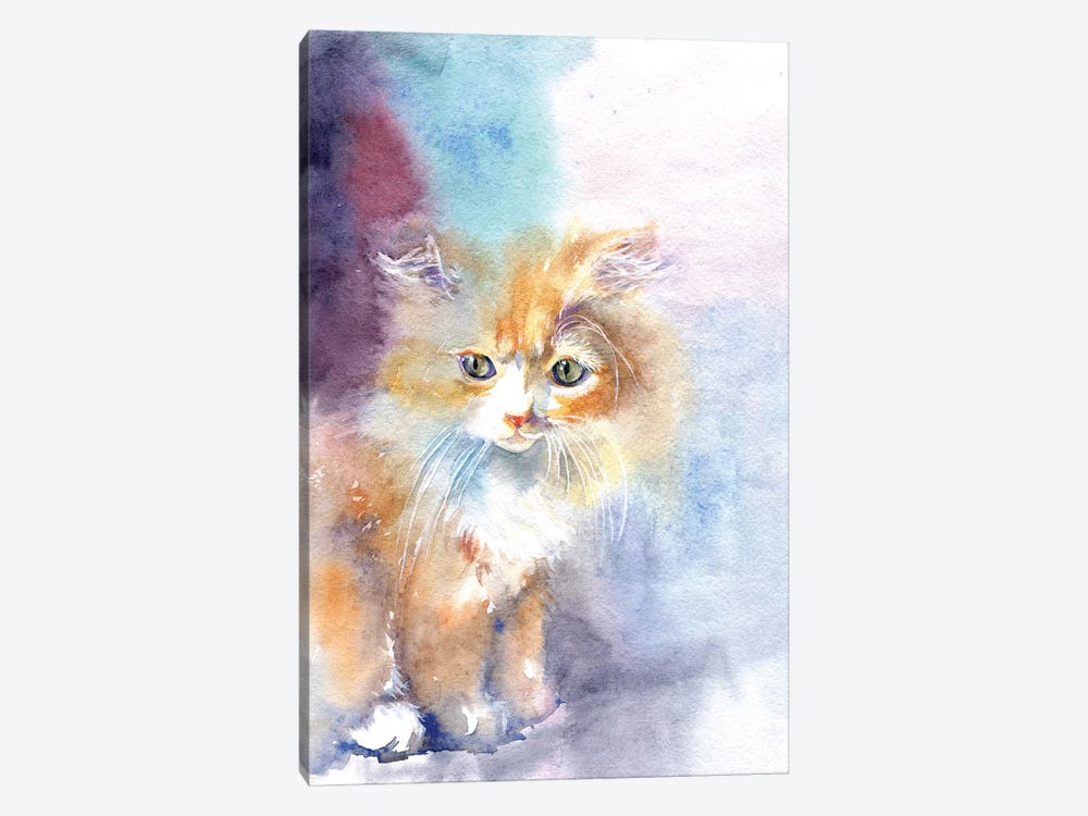 Kitty In The Light by Marina Ignatova 1-piece Canvas Print