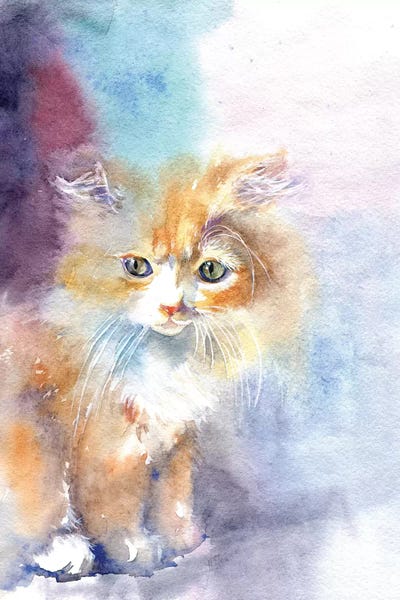 Marina Ignatova: Kitty In The Light by Marina Ignatova
