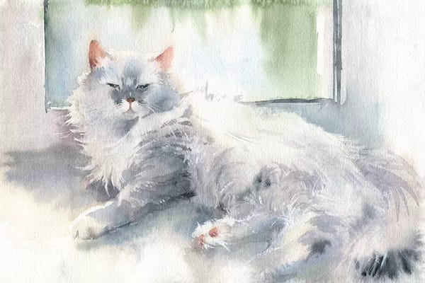 Liza The Cat