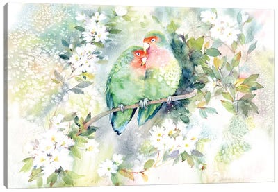 Parrots Canvas Art Print - Serene Watercolors