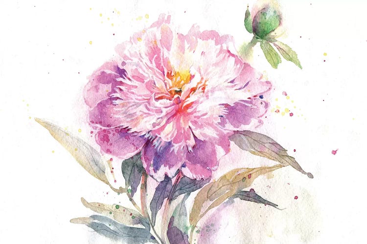 Pion by Marina Ignatova wall art