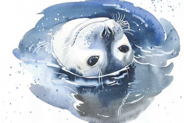 Seals & Sea Lions: Pusa by Marina Ignatova