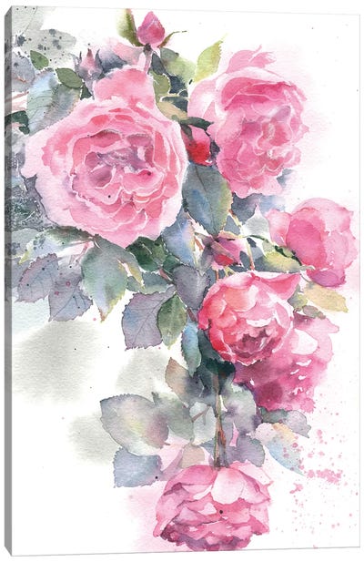 Rose Bush Canvas Art Print - Serene Watercolors