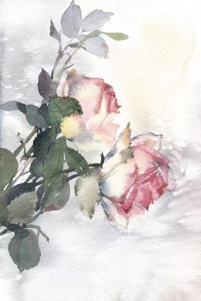 Roses by Marina Ignatova canvas print