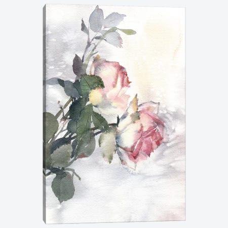 Roses Canvas Print #IGN32} by Marina Ignatova Canvas Artwork