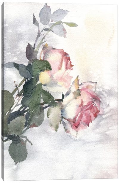 Roses Canvas Art Print - Marina Ignatova