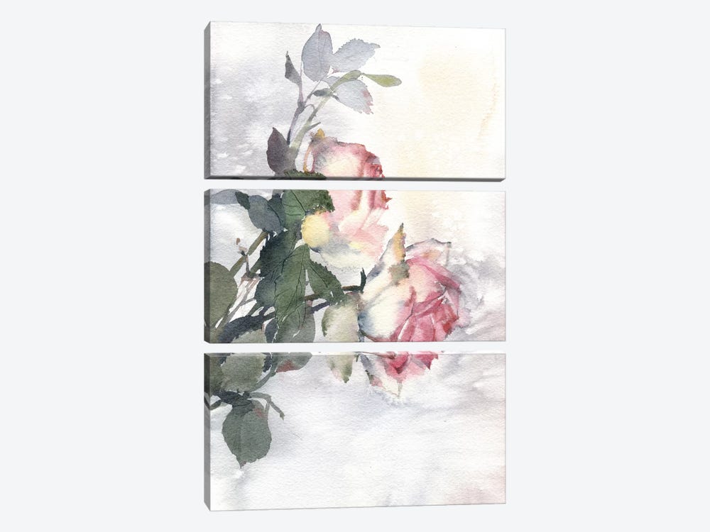 Roses by Marina Ignatova 3-piece Canvas Print