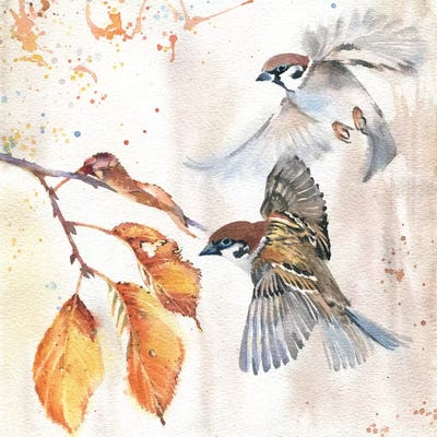 Sparrows III by Marina Ignatova framed canvas print