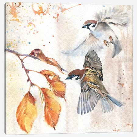 Sparrows III Canvas Print #IGN33} by Marina Ignatova Canvas Artwork
