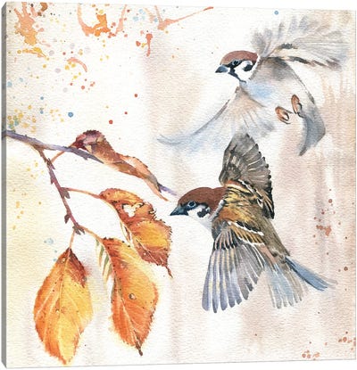 Sparrows III Canvas Art Print - Marina Ignatova