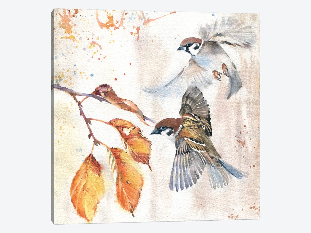 Sparrows III by Marina Ignatova 1-piece Canvas Artwork