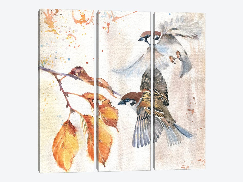 Sparrows III by Marina Ignatova 3-piece Canvas Wall Art