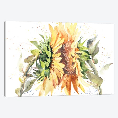 Sunflowers Canvas Print #IGN34} by Marina Ignatova Canvas Print