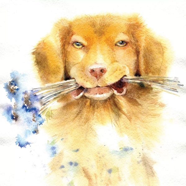 Marina Ignatova: Retriever With Bouquet by Marina Ignatova
