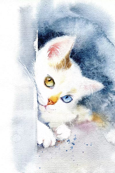 Kitten With Colorful Eyes by Marina Ignatova framed wall art