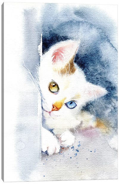 Kitten With Colorful Eyes Canvas Art Print - Kitten Art
