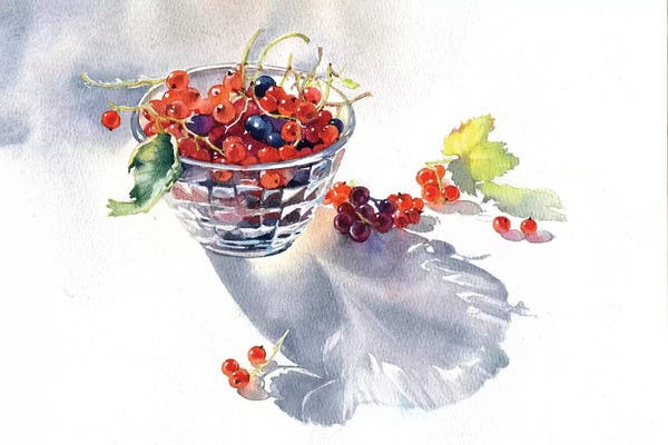 Berries: Currants by Marina Ignatova