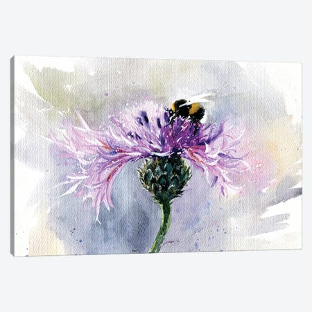 Bumblebee On A Flower Canvas Print #IGN54} by Marina Ignatova Canvas Print