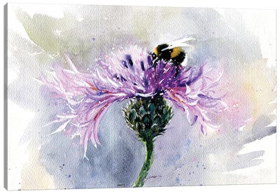 Bumblebee On A Flower Canvas Art Print - Insect & Bug Art