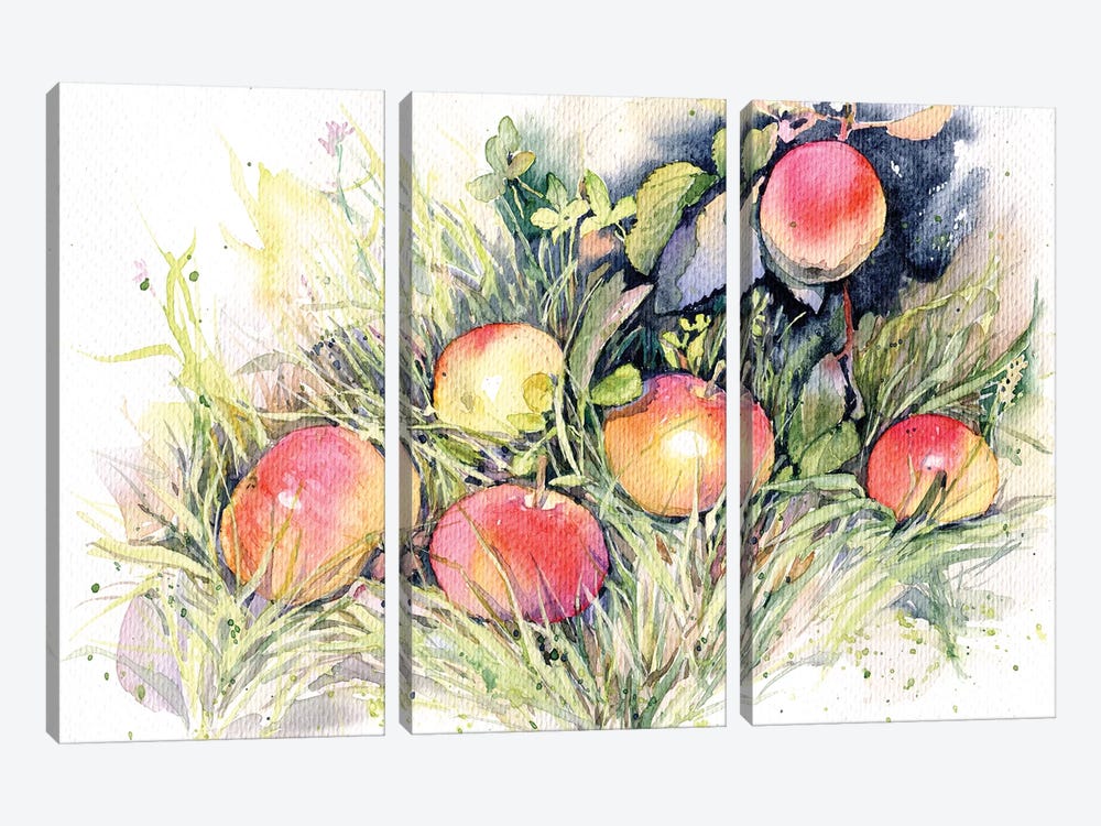 Apples On The Grass by Marina Ignatova 3-piece Canvas Art