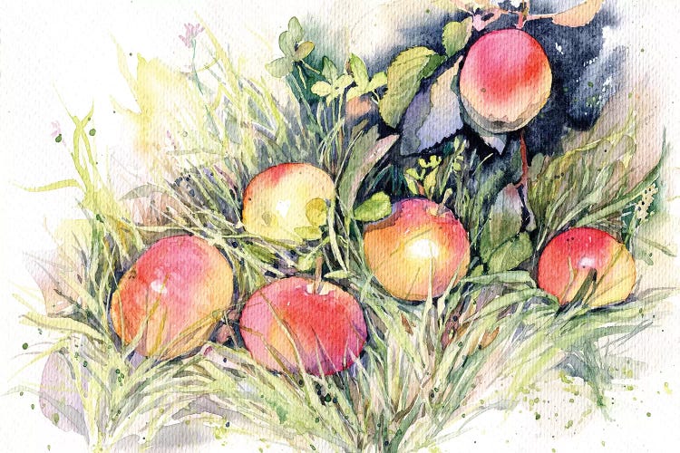 Apples On The Grass