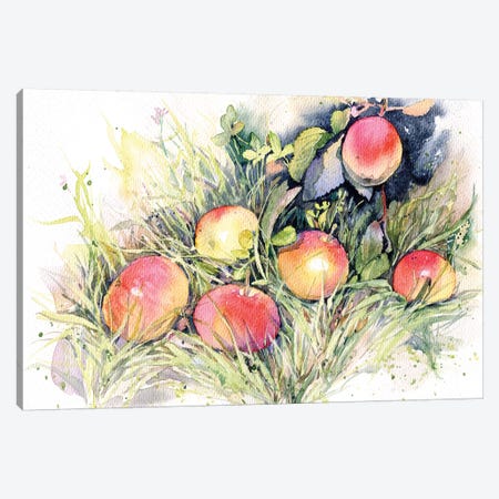 Apples On The Grass Canvas Print #IGN55} by Marina Ignatova Art Print
