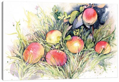 Apples On The Grass Canvas Art Print - Marina Ignatova