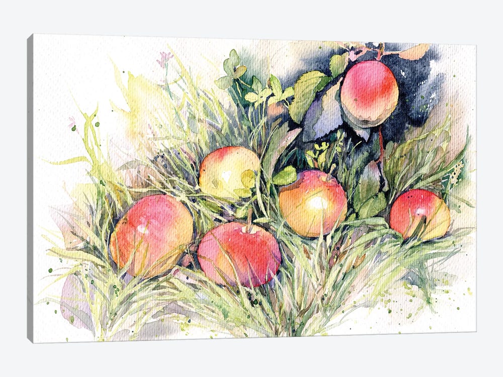 Apples On The Grass by Marina Ignatova 1-piece Canvas Art