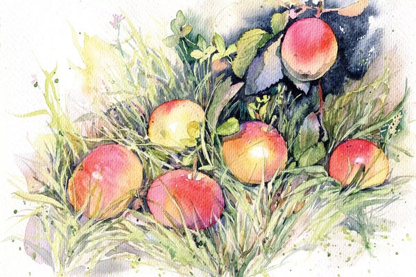 Marina Ignatova: Apples On The Grass by Marina Ignatova