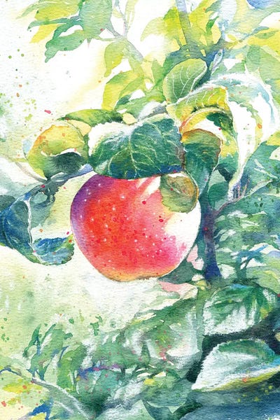 The Apple by Marina Ignatova art print