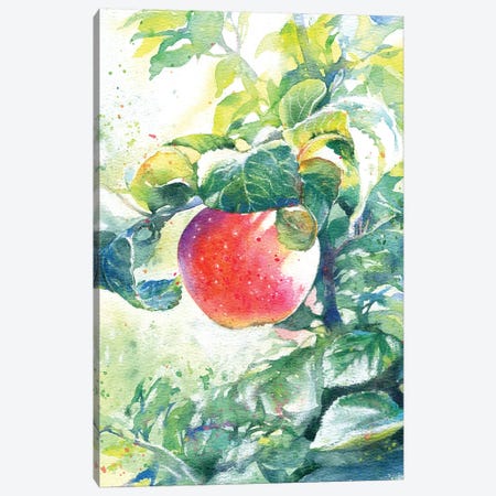 The Apple Canvas Print #IGN56} by Marina Ignatova Canvas Print