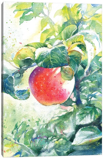The Apple Canvas Art Print - Apple Art