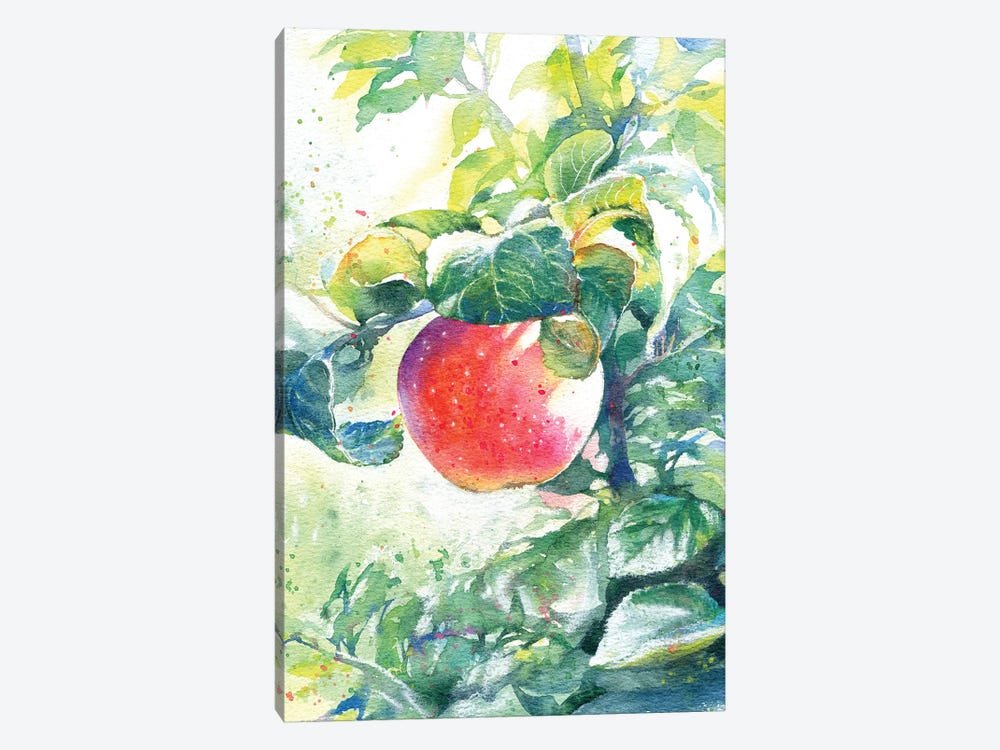 The Apple by Marina Ignatova 1-piece Canvas Art Print