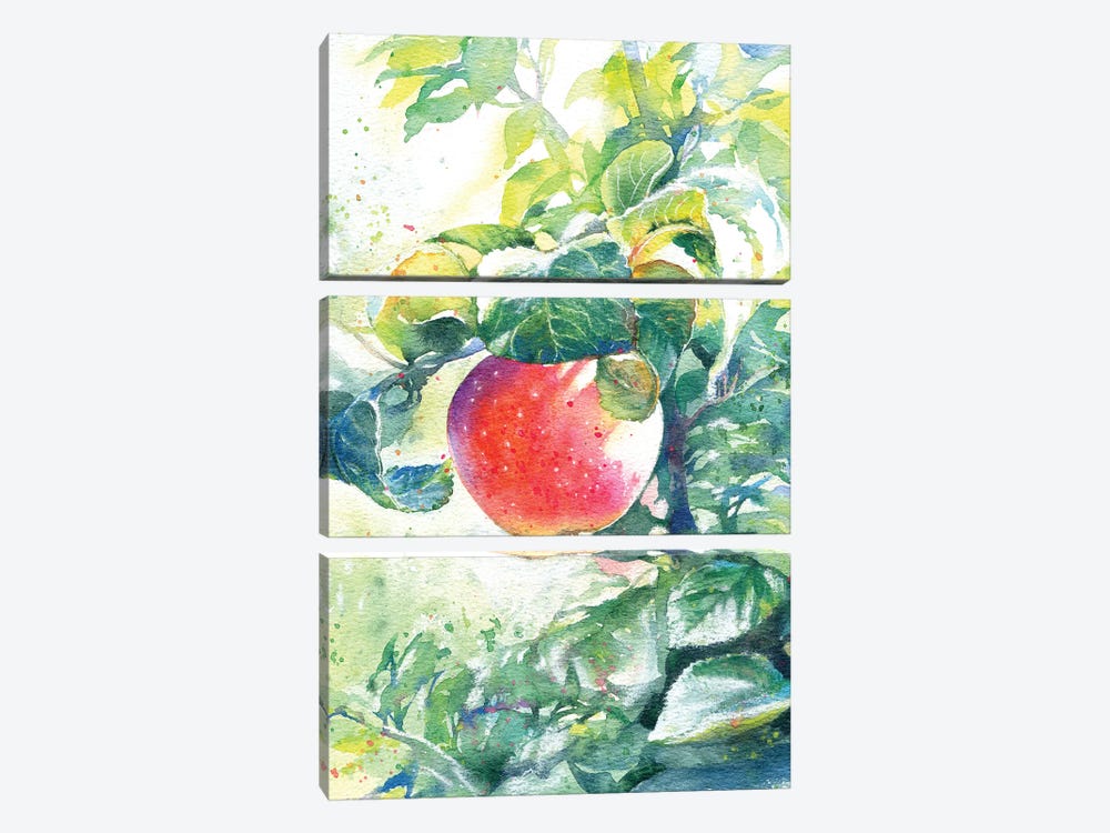 The Apple by Marina Ignatova 3-piece Canvas Print