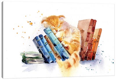 Sleeping Cat Canvas Art Print - Book Art