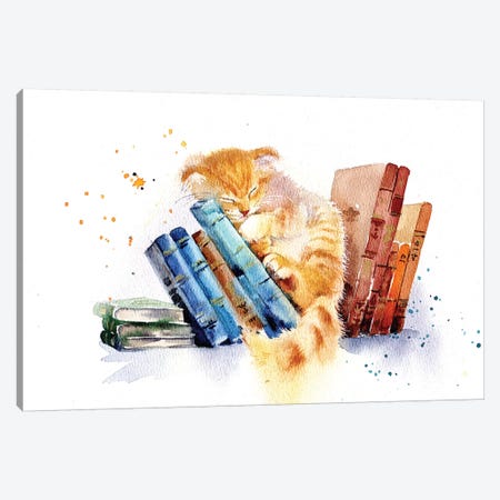 Sleeping Cat Canvas Print #IGN57} by Marina Ignatova Canvas Print