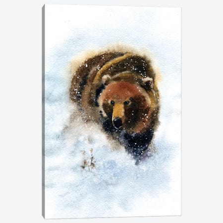 Bear Canvas Print #IGN5} by Marina Ignatova Art Print
