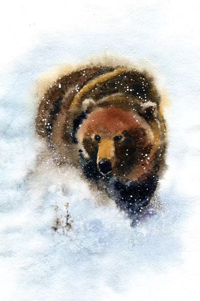 Marina Ignatova: Bear by Marina Ignatova