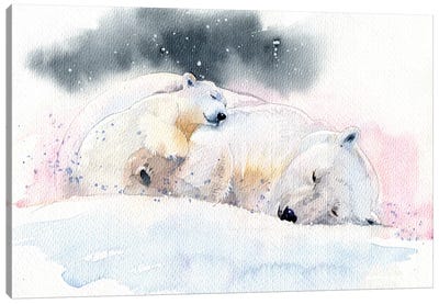Sleeping Bears Canvas Art Print - Polar Bear Art