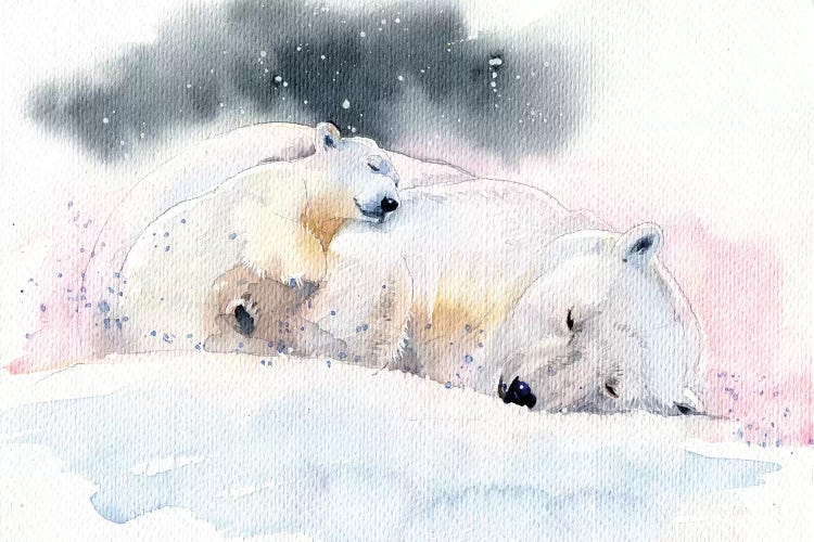 Sleeping Bears